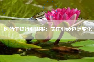 医药生物行业周报：关注业绩边际变化