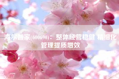 海尔智家(600690)：整体经营稳健 精细化管理提质增效