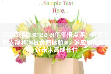 芯动联科(688582)2024年年报点评：近五年收入净利润复合增速超30% 多应用拓展构筑未来高成长性