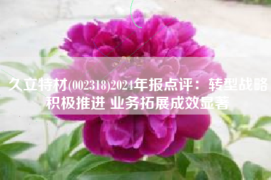 久立特材(002318)2024年报点评：转型战略积极推进 业务拓展成效显著
