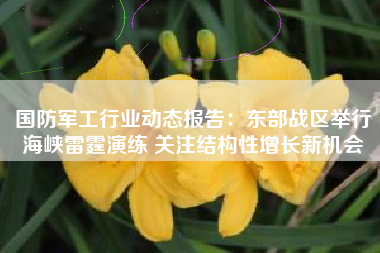 国防军工行业动态报告：东部战区举行海峡雷霆演练 关注结构性增长新机会
