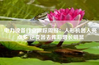 电力设备行业跟踪周报：人形机器人亮点多 逆变器去库后增长明显