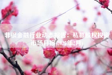 非银金融行业动态报告：私募股权投资市场月报(2025年2月)