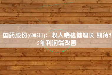 国药股份(600511)：收入端稳健增长 期待25年利润端改善