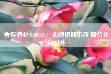 舍得酒业(600702)：业绩短期承压 期待企稳回升
