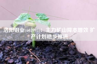 洛阳钼业(603993)：主力矿山降本增效 扩产计划稳步推进
