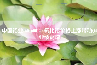 中国铝业(601600)：氧化铝价格上涨带动Q4业绩高增