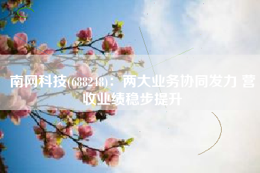 南网科技(688248)：两大业务协同发力 营收业绩稳步提升