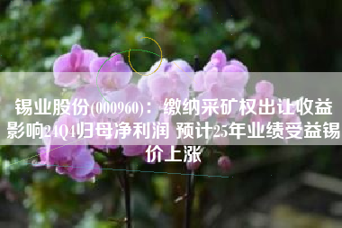 锡业股份(000960)：缴纳采矿权出让收益影响24Q4归母净利润 预计25年业绩受益锡价上涨