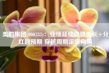 美的集团(000333)：业绩延续稳健增长+分红超预期 穿越周期滚滚向前
