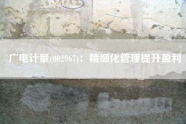 广电计量(002967)：精细化管理提升盈利
