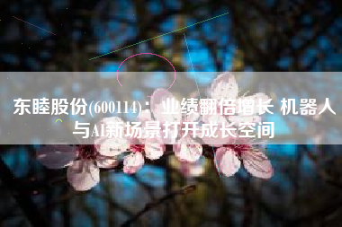 东睦股份(600114)：业绩翻倍增长 机器人与AI新场景打开成长空间