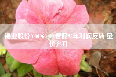 锡业股份(000960)：看好25年利润反转 量价齐升