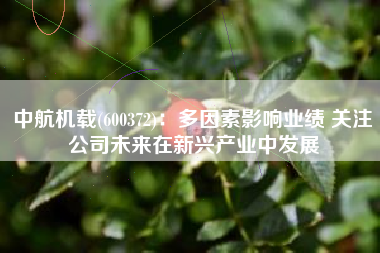 中航机载(600372)：多因素影响业绩 关注公司未来在新兴产业中发展