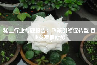 稀土行业专题报告：政策引领促转型 百业竞发催新势