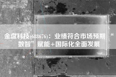金盘科技(688676)：业绩符合市场预期 “数智”赋能+国际化全面发展