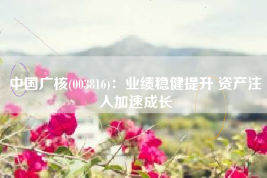 中国广核(003816)：业绩稳健提升 资产注入加速成长