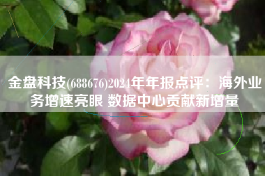 金盘科技(688676)2024年年报点评：海外业务增速亮眼 数据中心贡献新增量