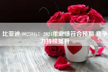 比亚迪(002594)：2024年业绩符合预期 竞争力持续提升