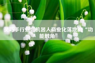灵巧手行业：机器人商业化落地的“功能触角”