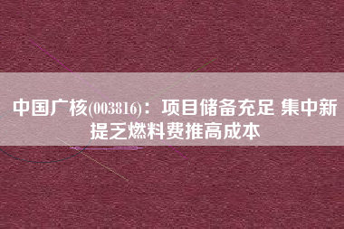 中国广核(003816)：项目储备充足 集中新提乏燃料费推高成本