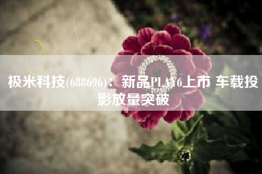 极米科技(688696)：新品PLAY6上市 车载投影放量突破