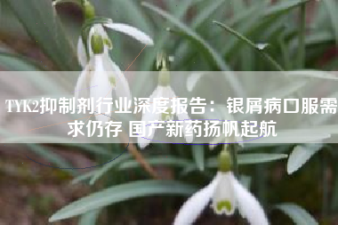 TYK2抑制剂行业深度报告：银屑病口服需求仍存 国产新药扬帆起航