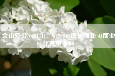 金山办公(688111)：WPS 365增长强劲 AI商业化有望提速