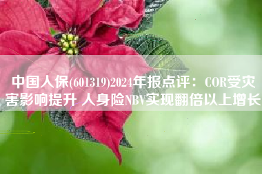 中国人保(601319)2024年报点评：COR受灾害影响提升 人身险NBV实现翻倍以上增长