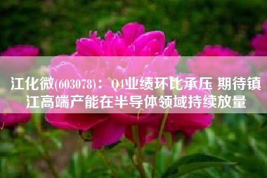江化微(603078)：Q4业绩环比承压 期待镇江高端产能在半导体领域持续放量