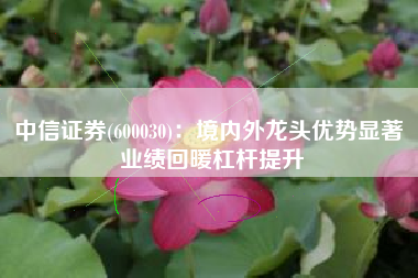 中信证券(600030)：境内外龙头优势显著 业绩回暖杠杆提升