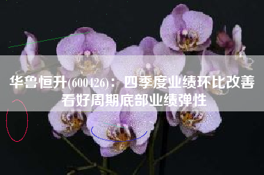 华鲁恒升(600426)：四季度业绩环比改善 看好周期底部业绩弹性