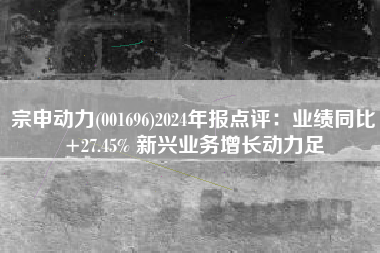 宗申动力(001696)2024年报点评：业绩同比+27.45% 新兴业务增长动力足