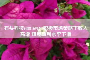 石头科技(688169)：积极市场策略下收入高增 短期盈利水平下滑