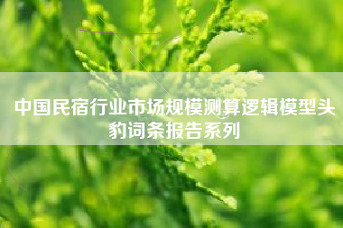 中国民宿行业市场规模测算逻辑模型头豹词条报告系列