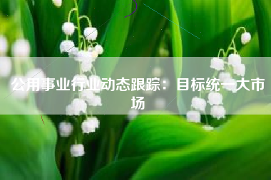 公用事业行业动态跟踪：目标统一大市场