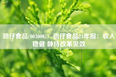 劲仔食品(003000)：劲仔食品24年报：收入稳健 静待改革见效