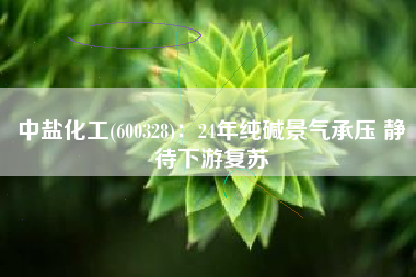 中盐化工(600328)：24年纯碱景气承压 静待下游复苏