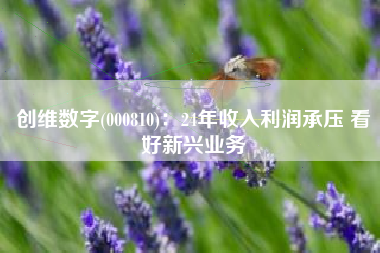 创维数字(000810)：24年收入利润承压 看好新兴业务