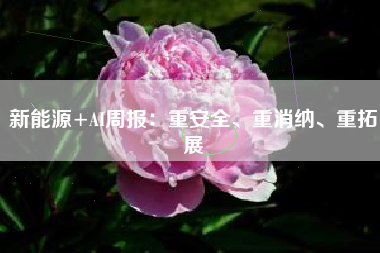 新能源+AI周报：重安全、重消纳、重拓展