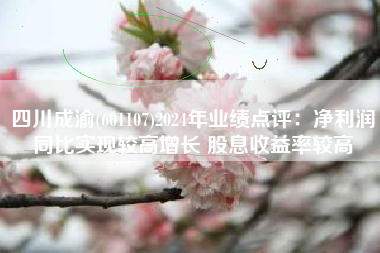 四川成渝(601107)2024年业绩点评：净利润同比实现较高增长 股息收益率较高