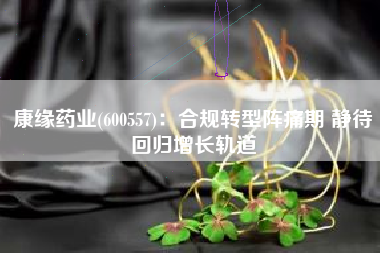 康缘药业(600557)：合规转型阵痛期 静待回归增长轨道