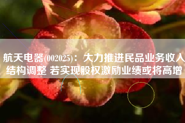 航天电器(002025)：大力推进民品业务收入结构调整 若实现股权激励业绩或将高增