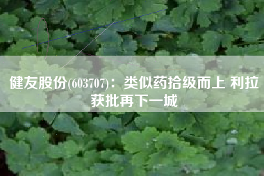 健友股份(603707)：类似药拾级而上 利拉获批再下一城