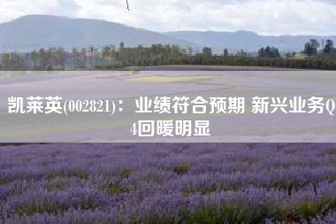凯莱英(002821)：业绩符合预期 新兴业务Q4回暖明显