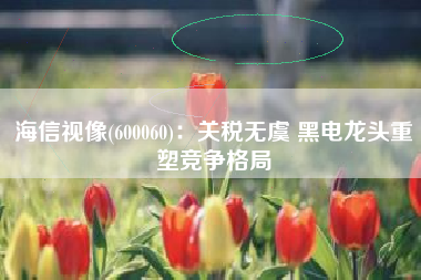海信视像(600060)：关税无虞 黑电龙头重塑竞争格局