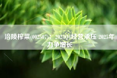 涪陵榨菜(002507)：2024Q4经营承压 2025年力争增长