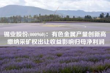 锡业股份(000960)：有色金属产量创新高 缴纳采矿权出让收益影响归母净利润
