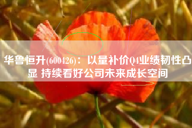 华鲁恒升(600426)：以量补价Q4业绩韧性凸显 持续看好公司未来成长空间