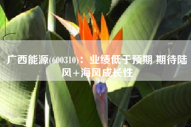 广西能源(600310)：业绩低于预期 期待陆风+海风成长性